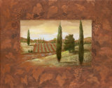 Vineyard Morning II