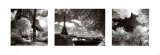 Eiffel Tower Triptych