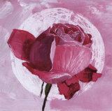 Rose Sur Pois Blanc