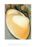 Tan Clam Shell