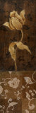 Golden Tulip II
