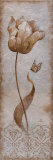 Tulip and Butterfly I
