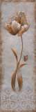 Tulip and Butterfly II