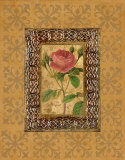 Rose Illumination I
