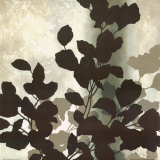 Autumn Silhouette II