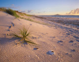Northland Karikari Bay