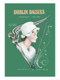 Dublin Daisies