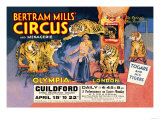 Togare and his Tigers: Bertram Mills' Circus and Menagerie