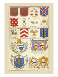 Heraldic Arms: Tenne and Sanguine