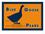 Blue Goose Pears