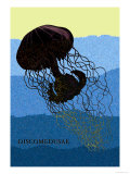 Jellyfish: Discomedusae
