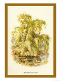 The Weeping Willow