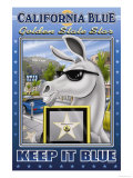 California Blue  Golden State Star
