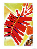 Chinese Fire Crackers