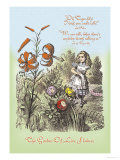 Through the Looking Glass: Garden of Live Flowers