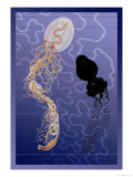 Pair of Jellyfish