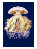 Astro-Jellyfish