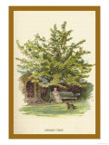 The Cherry Tree