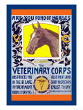Join the Veterinary Corps