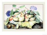 Dish of Plums with Jasmine and Walnuts