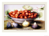 Dish of Cherries with Figs and Medlars