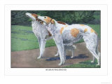 Russian Wolfhound