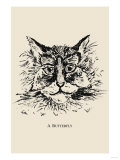 Optical Illusion Puzzle: Cat and Butterfly
