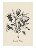 Optical Illusion Puzzle: Roses and Noses