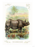 The Rhinoceros