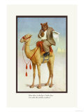 Teddy Roosevelt's Bears: A Yankee Bear