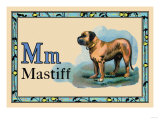 Mastiff