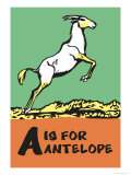 A is for Antelope