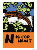 N is for Newt