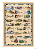 Animal Alphabet