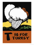 T is for Turkey