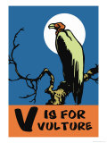 V is for Vulture