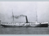 Gallant on the River
