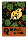 Q is for Quail