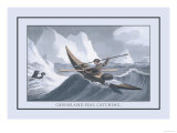 Greenlanders Seal Catching