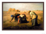The Gleaners