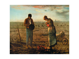 The Angelus