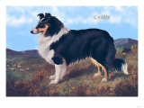 Reverend Hamilton's Collie