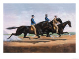 Horse Race