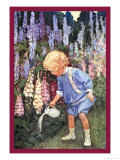 Fairy Gardens