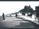 Lincoln Park  Lake Shore Drive