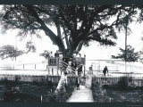 St Louis  Mississippi
