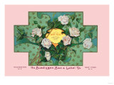 White Rose Soap