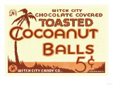 Toasted Cocoanut Balls