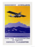 Bodensee Aerolloyd Flying Boat Tours