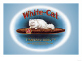 White-Cat Cigars